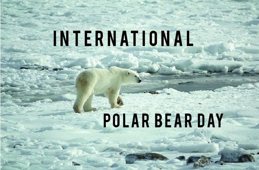 International Polar Bear Day EUROPARC Federation