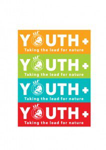 Youth + Logo