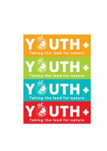 Youth + Logo 
