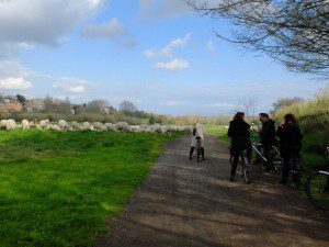 Appia Antica Regional Park, europarc, vdn