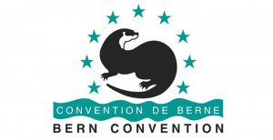 Bern Convention
