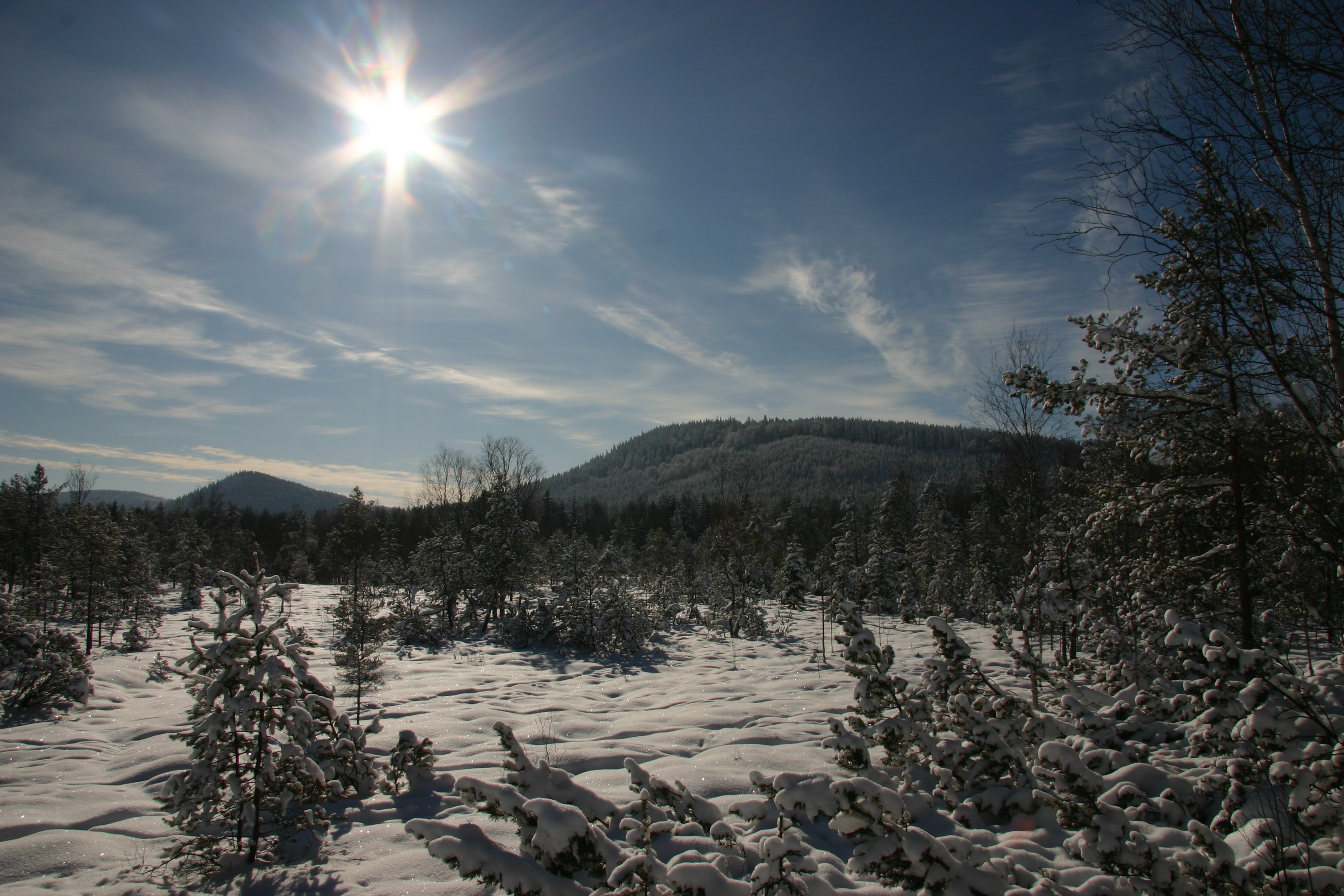 sumava national park,