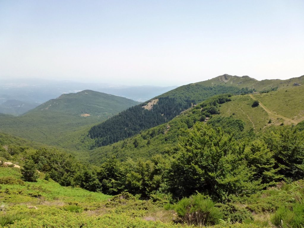 Montseny Nature Park