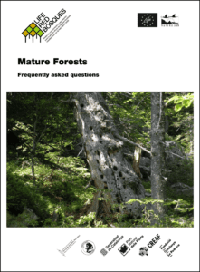 Mature Forest FAQs download