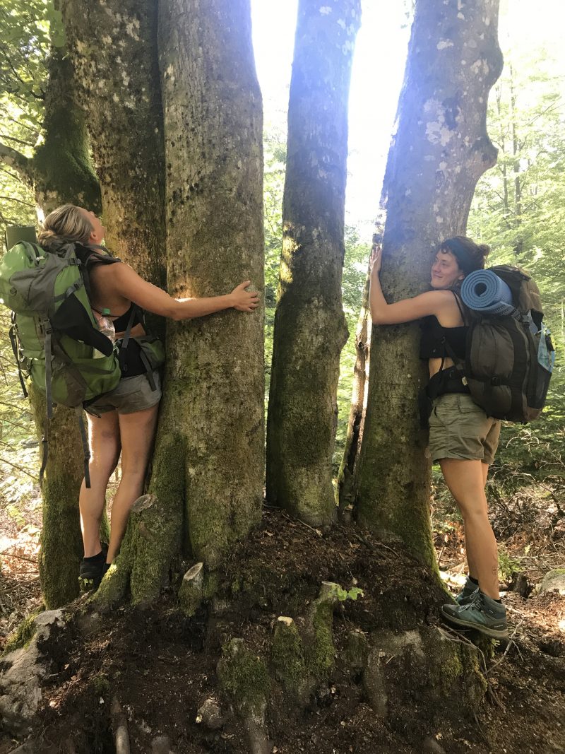 Wilderness Therapy As Mental Health Treatment A Case Study From The UK