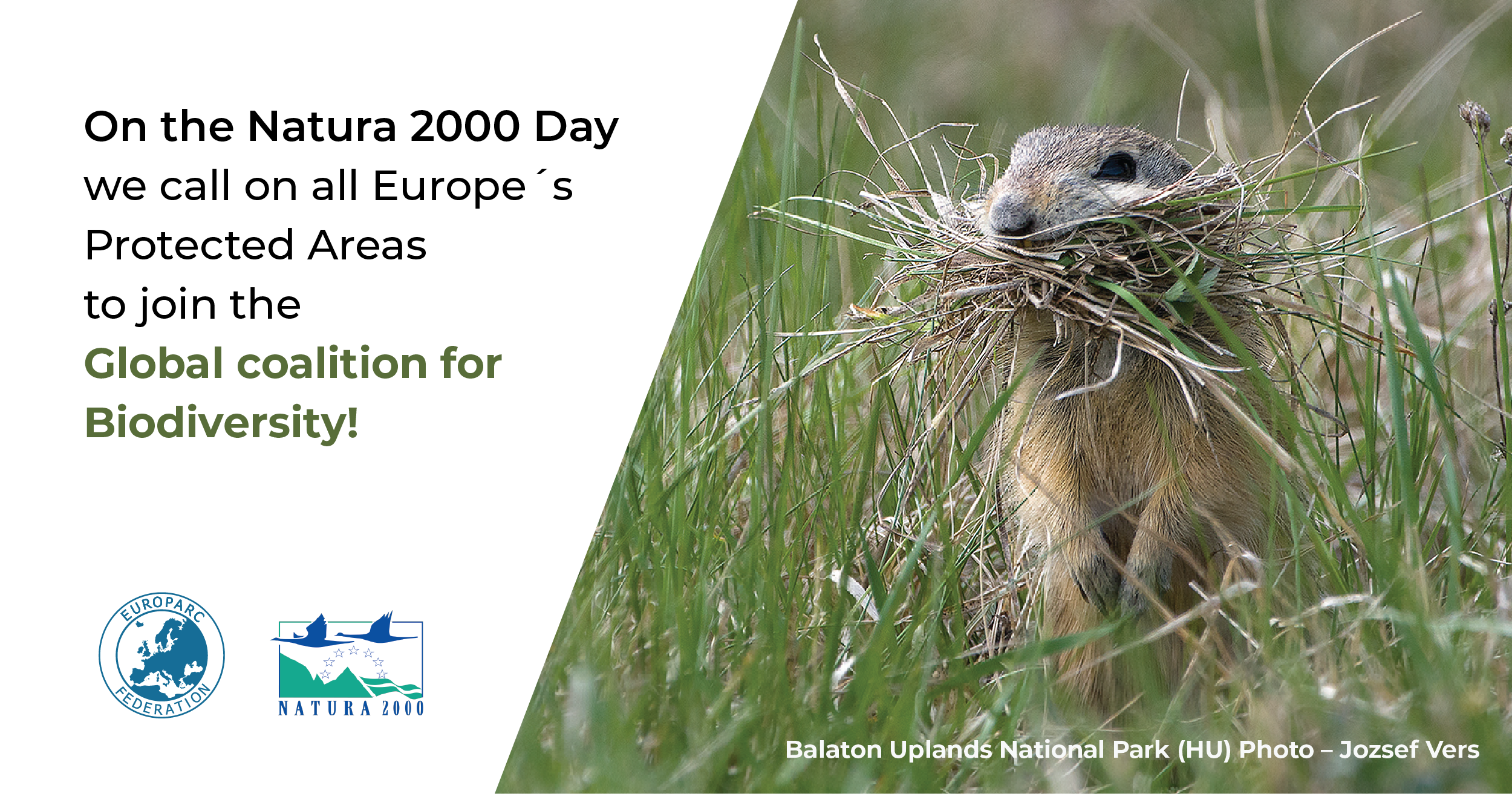 And European Natura 2000 Day : Natura 2000 Day: Success story with room ...