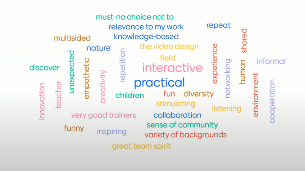 LIFE ENABLE Participatory Mentimeter exercise describing impactful capacity building experiences