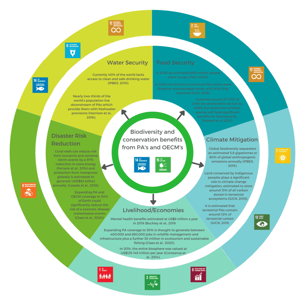 The direct benefits and co-benefits provided by PAs and OECMs and the contribution of these towards the Sustainable Development Goals