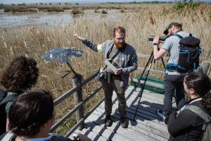 Watching birds during the Fieldtrips EUROPARC Conference 2022 Austria