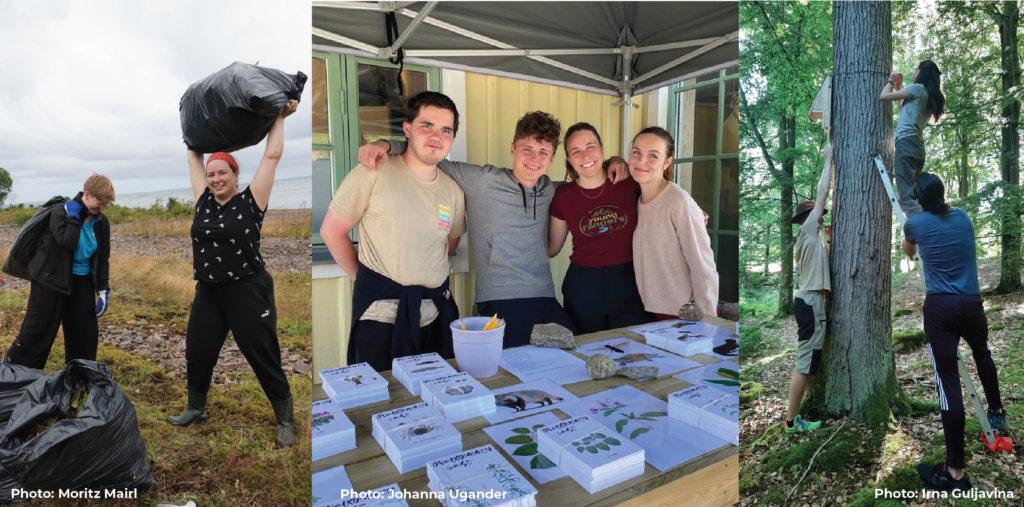 Collage of three photos: In the first two young women are celebrating having collected big bags of invasive species, in the second a group of four young people are posing together at an info stand about invasive species, in the third three young people are attaching a bat house to a tree using a ladder