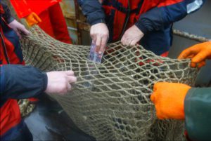 Coast Guards and Official Control Inspectors set out to control fishing vessels in the North Sea. The inspectors control the net the fishermen use. Photo by Jan van de Vel - European Communities, 2002.