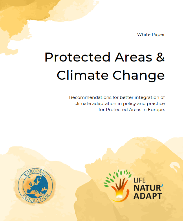 Working together towards climate resilience – New White Paper ...