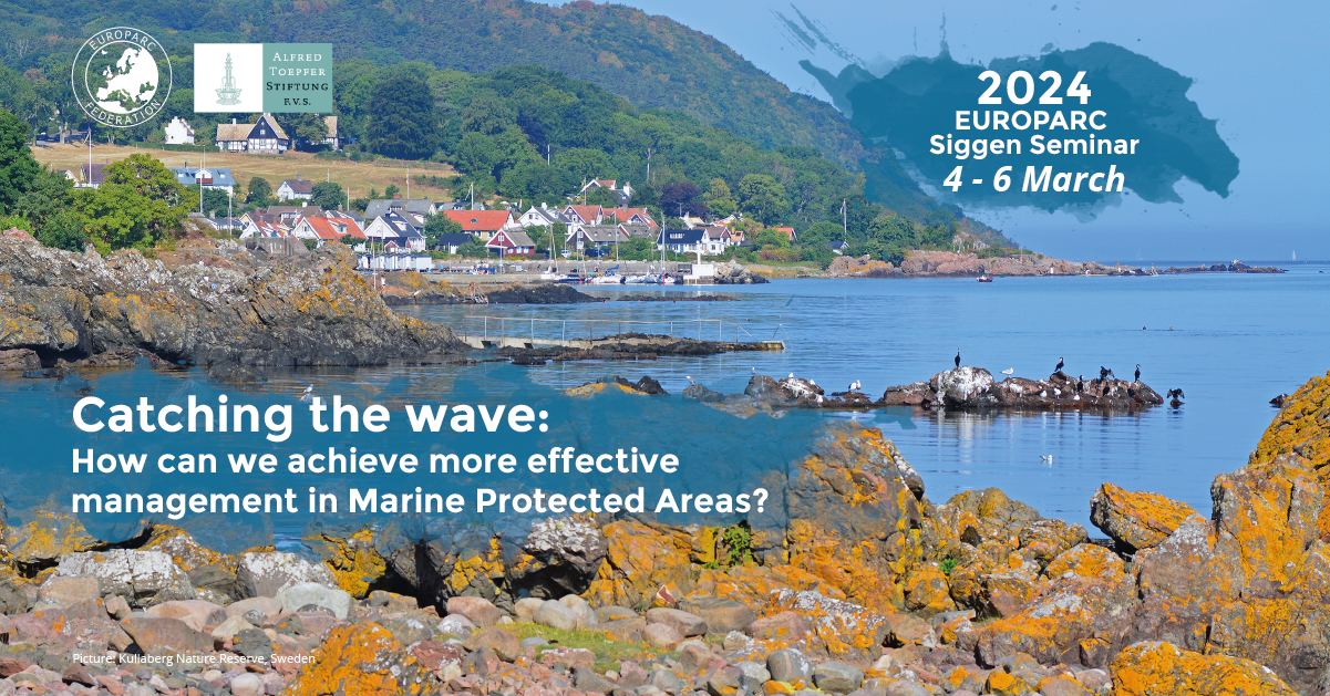Register now - Siggen Seminar 2024 on Marine Protected Areas