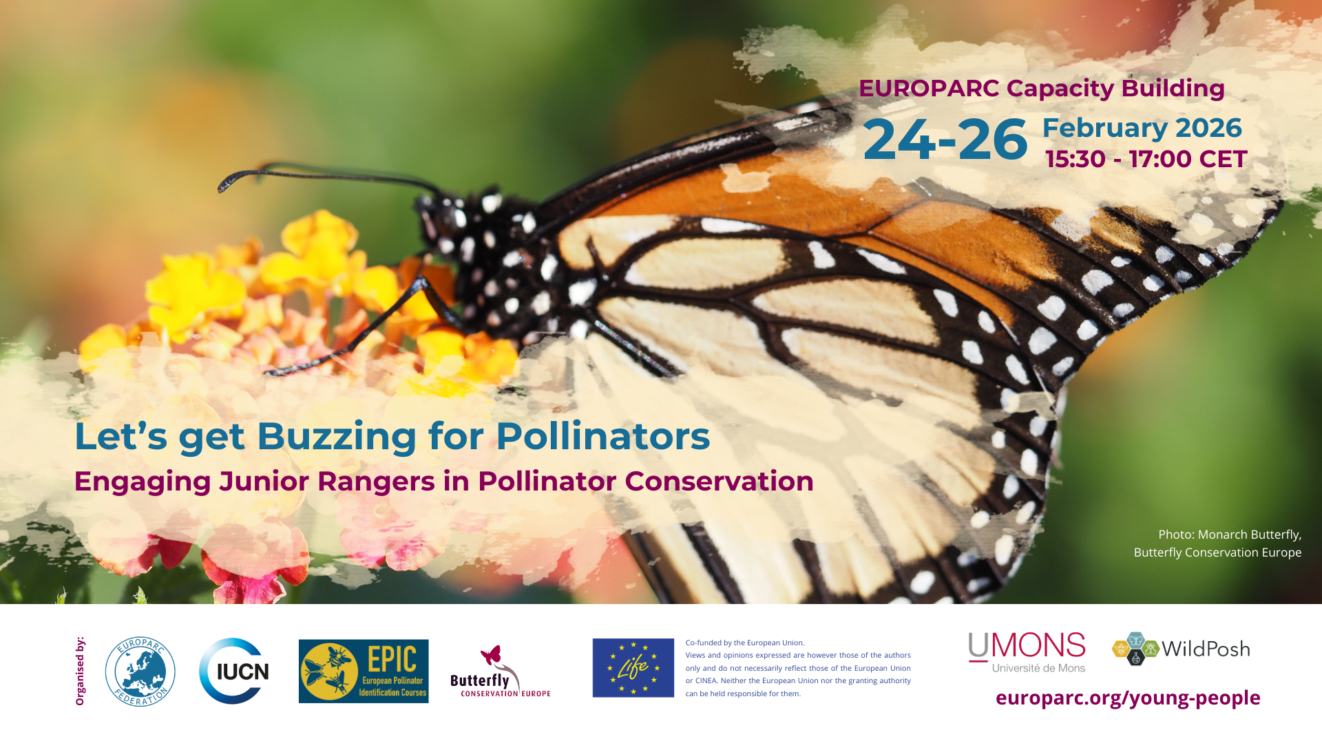 Let's get Buzzing for Pollinators