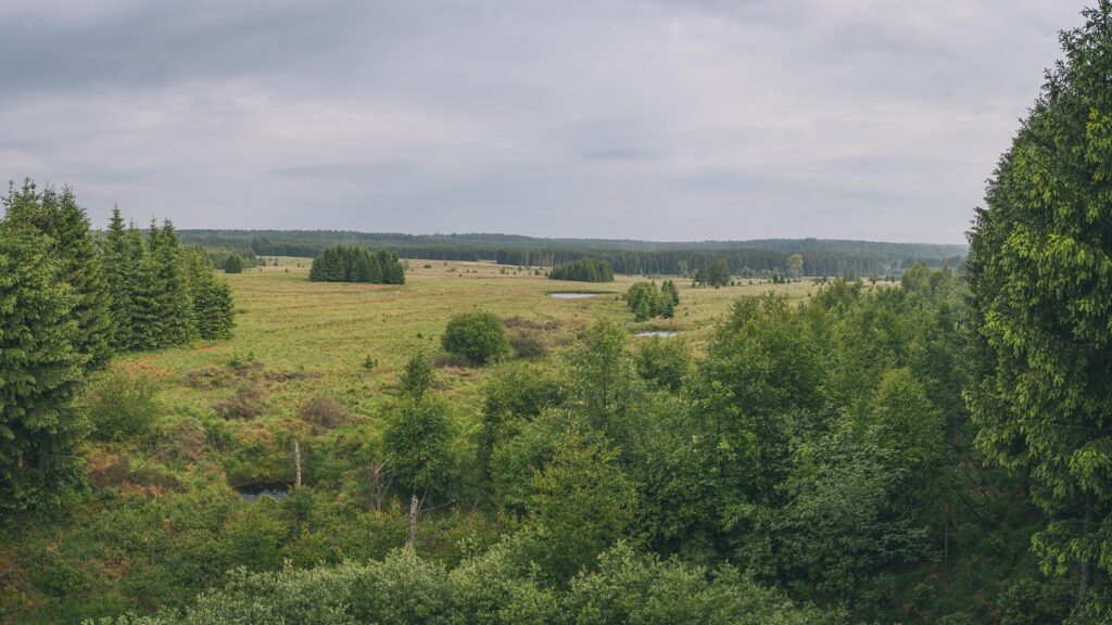 Parc naturel des Deux Ourthes