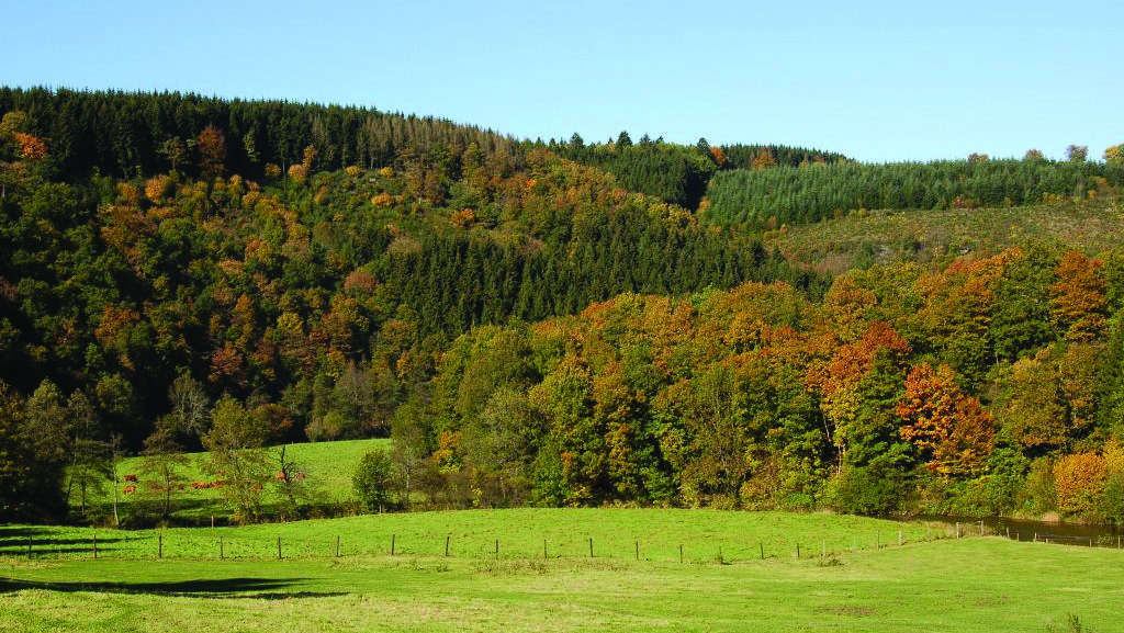 Parc naturel Haute-Sûre Forêt d'Anlier