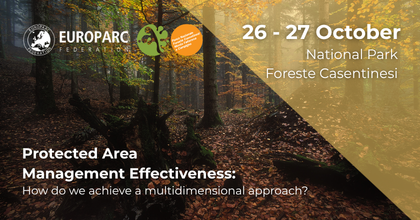 Protected Area Management Effectiveness: how do we achieve a multidimensional approach?