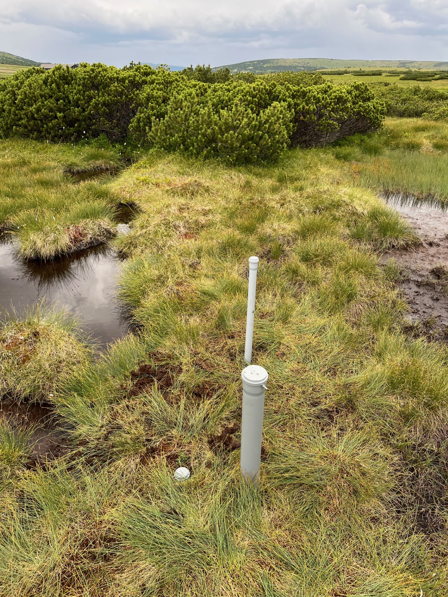 https://www.europarc.org/wp-content/uploads/2026/10/18ae68b7-4ee8-4fc7-9c69-be3b21e464fb.jpg